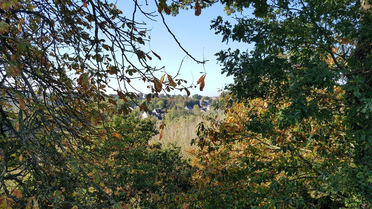 Vue sur le village de Vieux Vy sur Couesnon Vue sur le village de Vieux Vy sur Couesnon